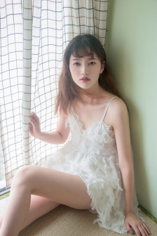 狗片